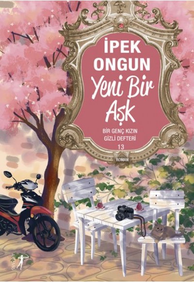 Bir Genç Kızın Gizli Defteri 13 Yeni Bir Aşk