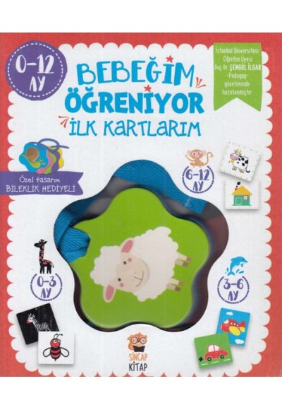 Bebeğim Öğreniyor - İlk Kartlarım (0 - 12 Ay)