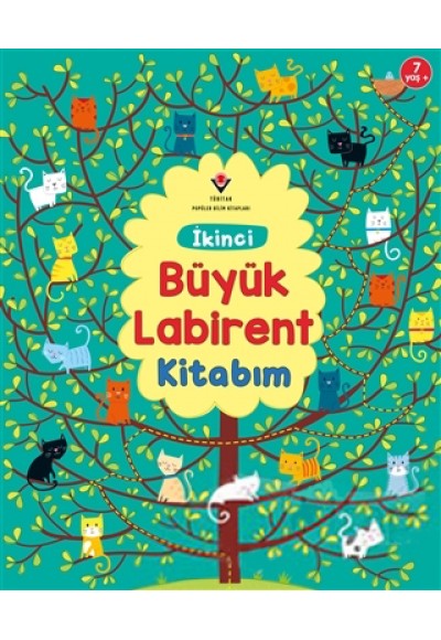 İkinci Büyük Labirent Kitabım