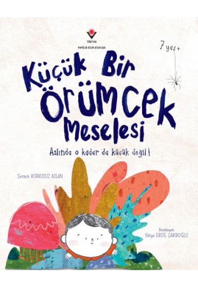 Küçük Bir Örümcek Meselesi