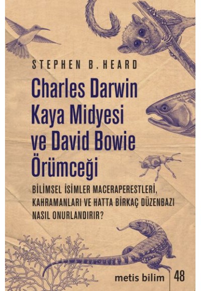 Charles Darwin Kaya Midyesi ve David Bowie Örümceği