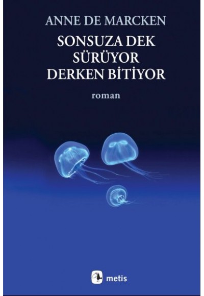Sonsuza Dek Sürüyor, Derken Bitiyor