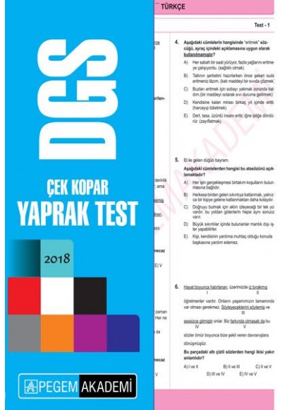 2018 DGS Çek Kopar Yaprak Test