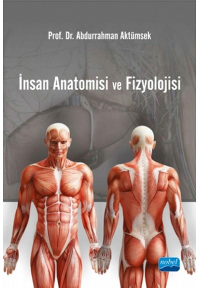 İnsan Anatomisi ve Fizyolojisi