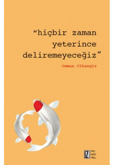 Hiçbir Zaman Yeterince Deliremeyeceğiz