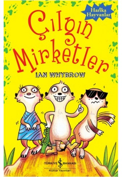 Çılgın Mirketler