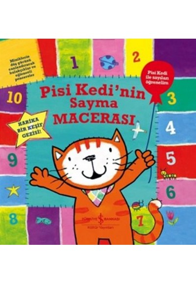 Pisi Kedinin Sayma Macerası