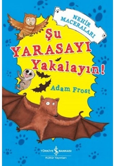 Şu Yarasayı Yakalayın!