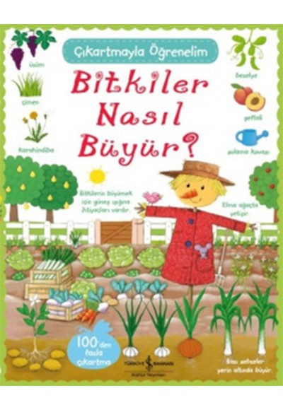 Çıkartmayla Öğrenelim Bitkiler Nasıl Büyür?