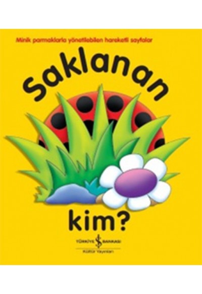 Saklanan Kim?