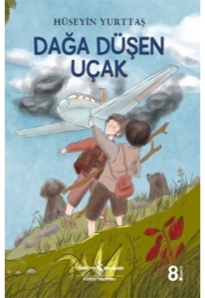 Dağa Düşen Uçak