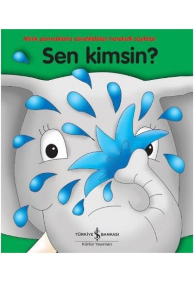 Sen Kimsin?
