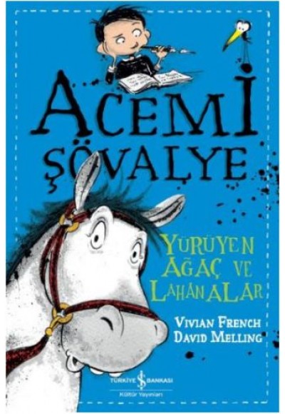 Acemi Şövalye