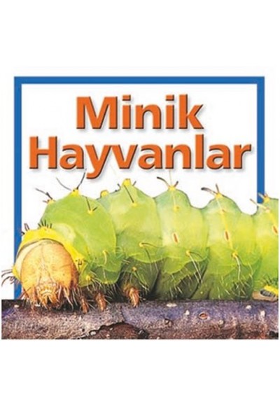 Minik Hayvanlar