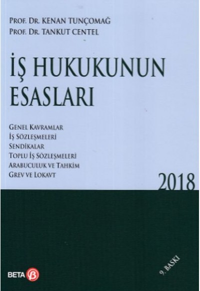 İş Hukukunun Esasları