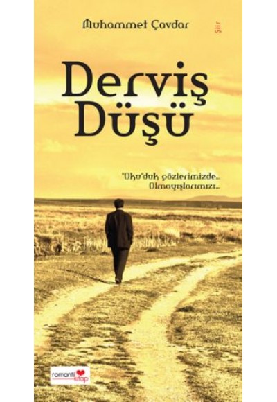 Derviş Düşü