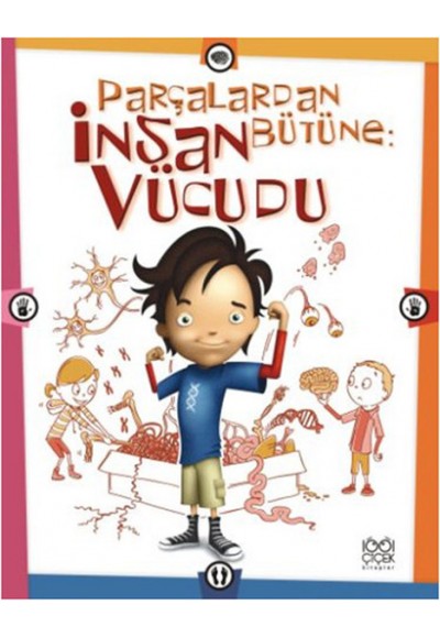 Parçalardan Bütüne: İnsan Vücudu