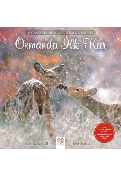 Fotoğraflarla Anlatılan Öyküler - Ormanda İlk Kar