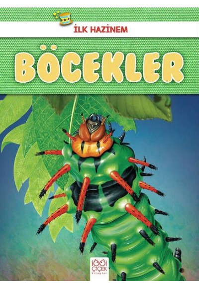 İlk Hazinem - Böcekler