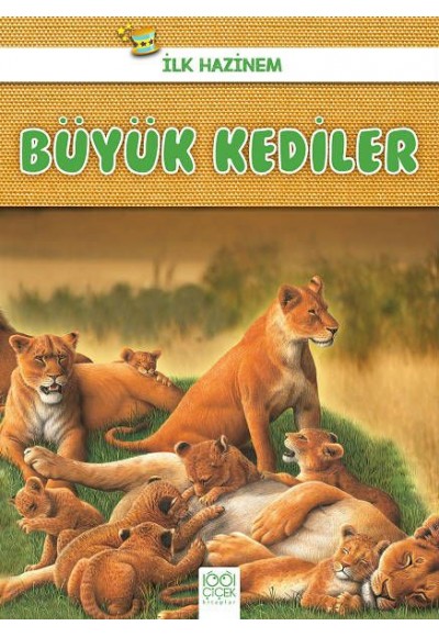 İlk Hazinem - Büyük Kediler