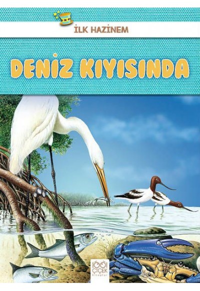 İlk Hazinem - Deniz Kıyısında