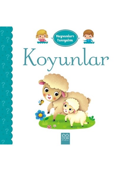 Hayvanları Tanıyalım  - Koyunlar