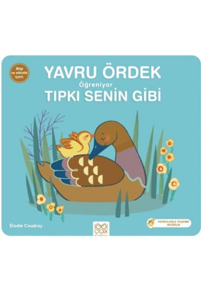 Yavru Ördek Öğreniyor Tıpkı Senin Gibi