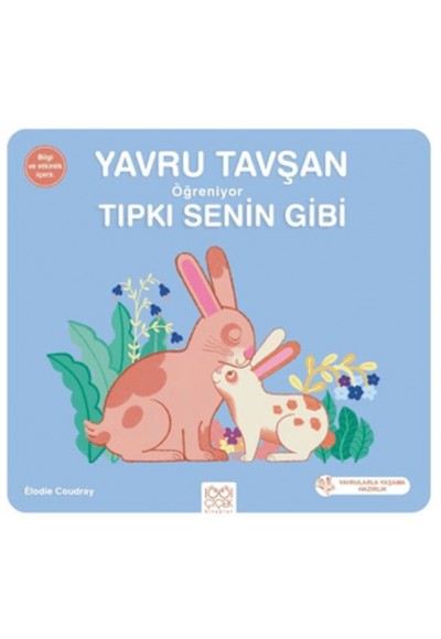 Yavru Tavşan Öğreniyor Tıpkı Senin Gibi
