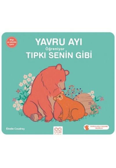 Yavru Ayı Öğreniyor Tıpkı Senin Gibi