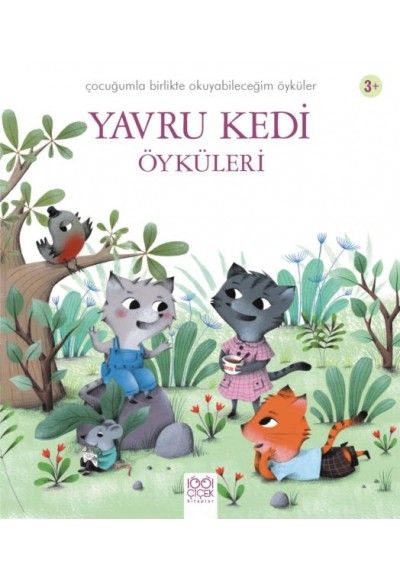 Yavru Kedi Öyküleri