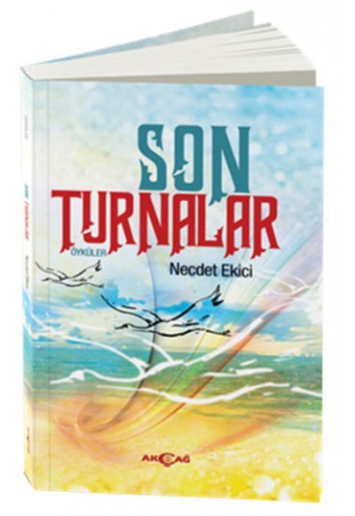 Son Turnalar