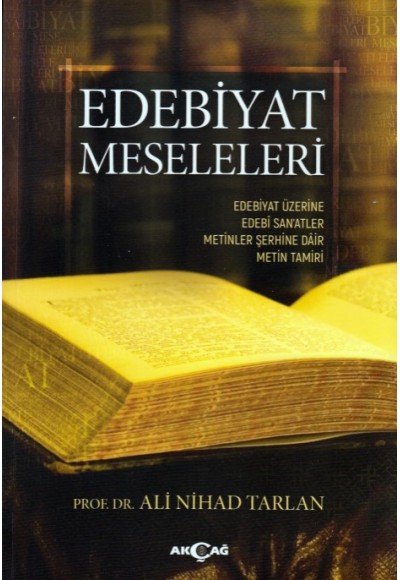 Edebiyatın Meseleleri