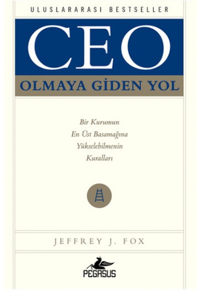 Ceo Olmaya Giden Yol