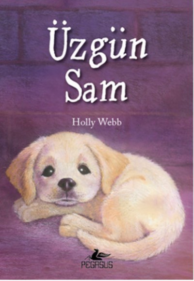 Üzgün Sam