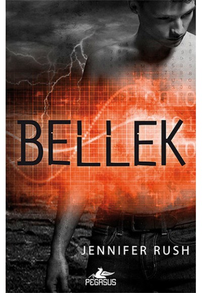 Amnezi 2. Kitap - Bellek