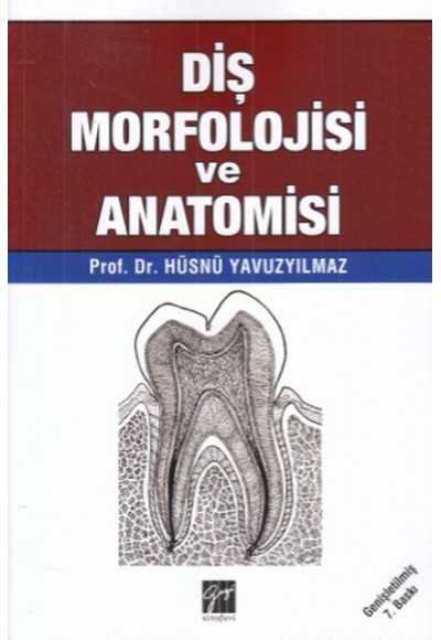 Diş Morfolojisi ve Anatomisi