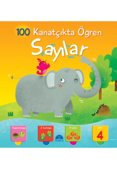 Kanatçıkta Öğren Sayılar