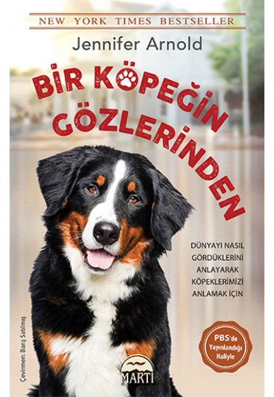 Bir Köpeğin Gözlerinden