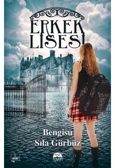 Erkek Lisesi