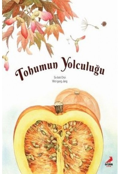 Tohumun Yolculuğu