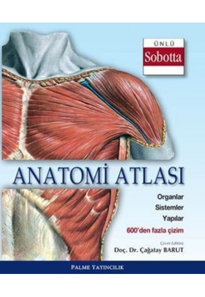 Anatomi Atlası (Sobotta Çizimleri)