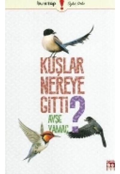 Kuşlar Nereye Gitti