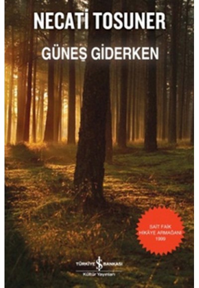 Güneş Giderken