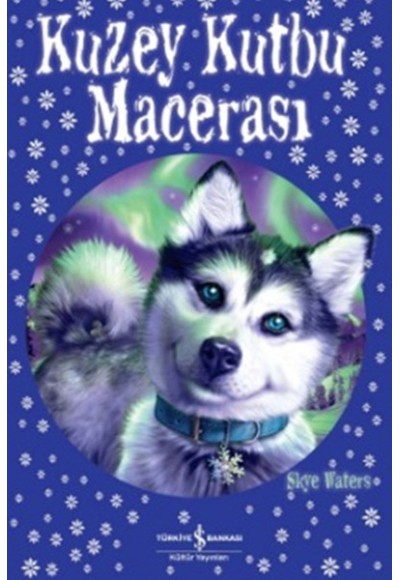Kuzey Kutbu Macerası