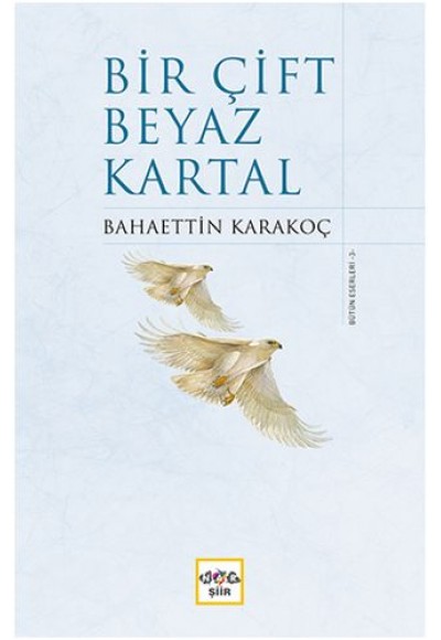 Bir Çift Beyaz Kartal (Ciltli)