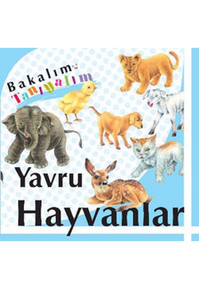 Bakalım Tanıyalım Yavru Hayvanlar (Ciltli)