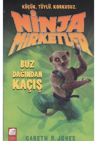 Ninja Mirketler -3 Buz Dağından Kaçış