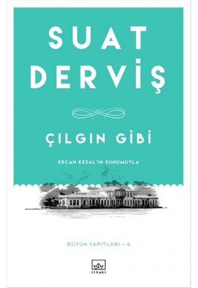 Çılgın Gibi