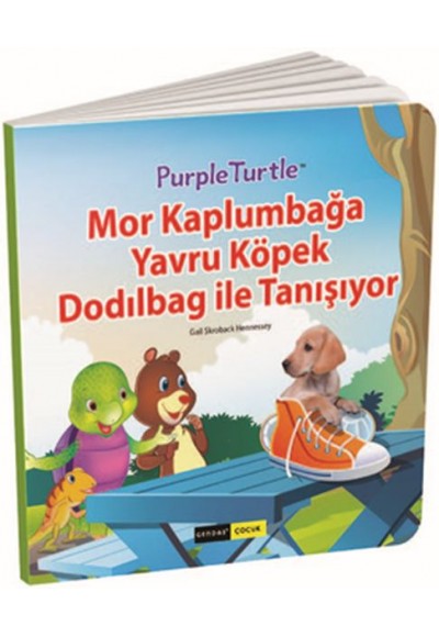Mor Kaplumbağa Yavru Köpek Dodılbag ile Tanışıyor