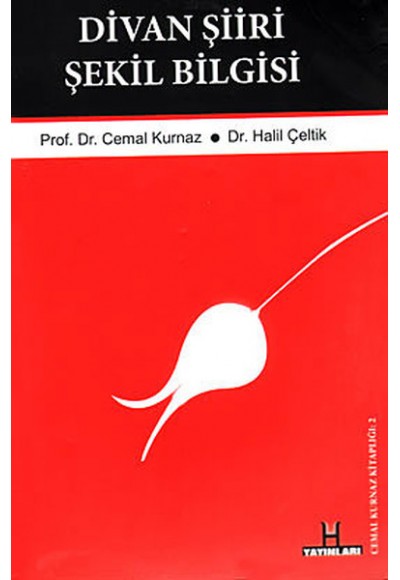 Divan Şiiri Şekil Bilgisi